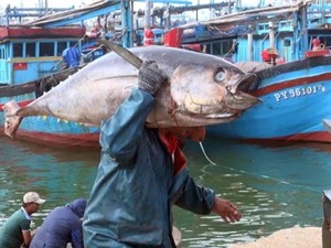 Làm rõ cơ chế suy giảm chất lượng của một số hải sản